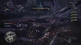 モンスターハンターワールド　クシャナダオラ