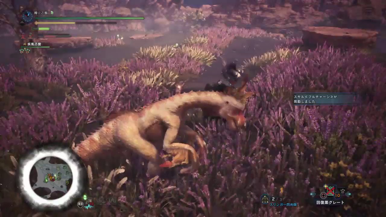 【モンスターハンターワールド】#17 梅☆旅団狩猟記 [初見歓迎&実況Live]