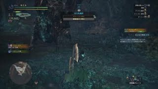 モンスターハンター：ワールド_20180322010851
