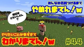 【マインクラフト】みんなの名前つけるまでやめれまてん！ｗコメ読み４０％