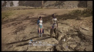 真・三國無双8（Dynasty Warriors 9）辛憲英編