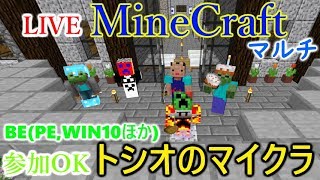[LIVE] Minecraft（マインクラフト）BE(Win10とPEほか) 地下鉄の建物を仕上げていく