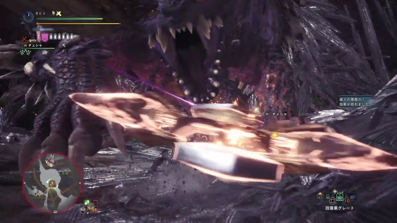 モンスターハンター：ワールド　ネルギガンテTA チャアク 2:06