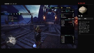 ぼっち初心者のモンスターハンターワールド