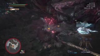 [モンスターハンターワールド]へっぽこハンター、迷子で今日も逝く☆