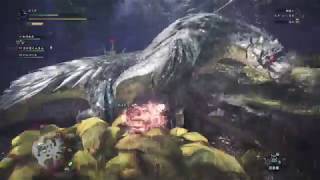 ぼうずとでのんが狩に行く！！ モンスターハンター：ワールド【Part16】