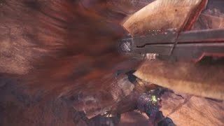 モンスターハンター：ワールド　テオ・テスカトル　スラアク