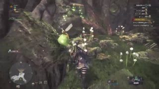 モンスターハンターワールド1