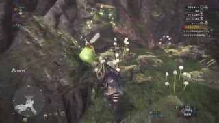 モンスターハンターワールド1