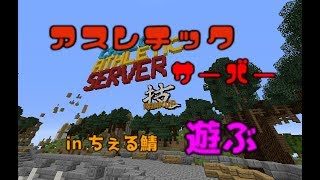 【マインクラフト】数か月ぶりにちぇる鯖で遊ぶ!!【参加は説明欄】