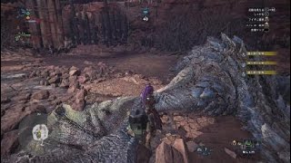 モンスターハンター：ワールド_20180321064708