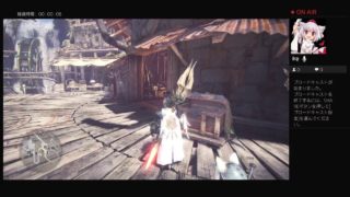 ［MHW］飲酒ハンターがイビルジョーを倒すまで［モンスターハンターワールド］