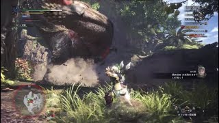 [MHW]ウケツケジョー対イビルジョー！モンスターハンターワールド実況#20