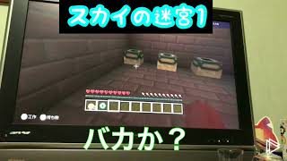 マインクラフト あかこん 番外編 前編 スカイの迷宮