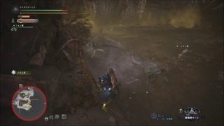 モンスターハンターワールド＃６１　どう森並みのほのぼの！？