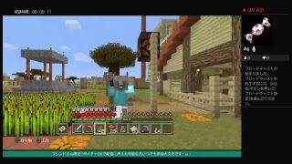 ＃15　ひぃちゃんのマインクラフト＾＾（3月7日）