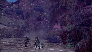 モンスターハンター：ワールド モンスターの墓場（提供者：onion ）