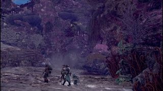 モンスターハンター：ワールド モンスターの墓場（提供者：onion ）