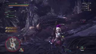 モンスターハンターワールド　ひたすらネルちゃんと闘う　クロちゃんいます