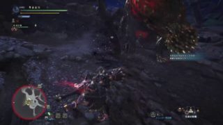 #9 MHW ﾓﾝｽﾀｰﾊﾝﾀｰﾜｰﾙﾄﾞ [ MONSTER HUNTER WORLD ]