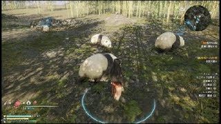 真・三國無双８_パンダ