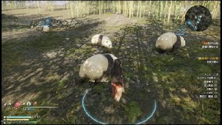 真・三國無双８_パンダ