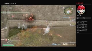 三國無双8 王元姫プレイ