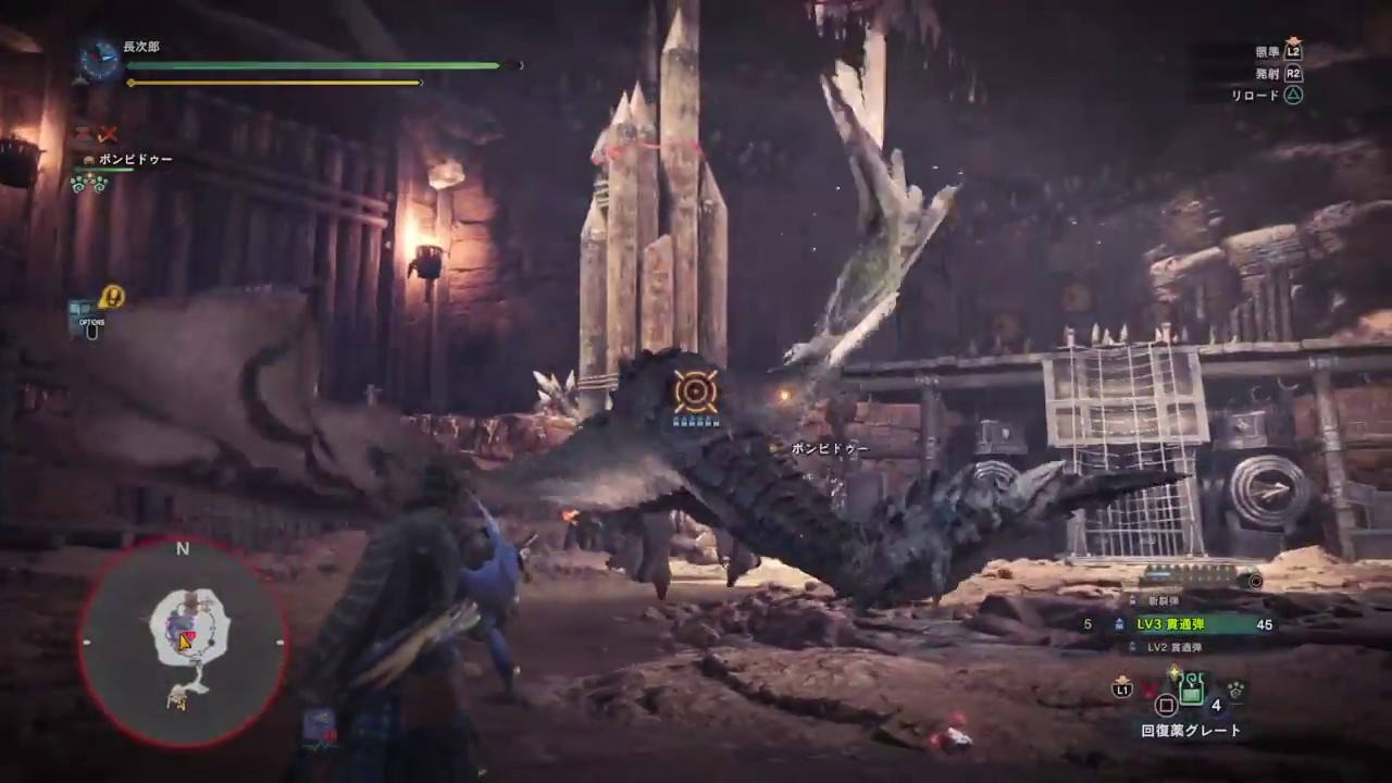 MONSTER HUNTER WORLD　モンスターハンター：ワールド　リオなんとか二頭　闘技場