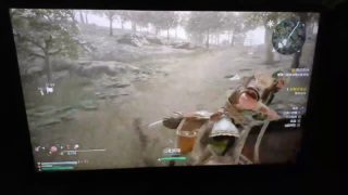 【真・三國無双８】なんだこれは……自動的バグ？？も逃げられない、関羽が……