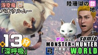 【浮空竜】第13狩 「深呼吸」モンスターハンターワールド　sumioの初見実況ソロ弓プレイ