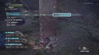 jakemllerがPS4からブロードキャスト　モンスターハンターワールド