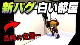 【スプラトゥーン２】【新バグ】ホッケふ頭の白い部屋！小ネタ＆バグ集【かくれんぼ 絶対にバレないチート級・最強の隠れ場所・裏世界】【Splatoon2 Glitch】