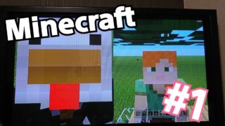 Minecraft/マインクラフト#1