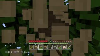 まったりマインクラフト