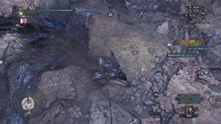 モンスターハンター：ワールド　新大陸の空と花