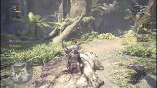 モンスターハンター：ワールド_20180301094124