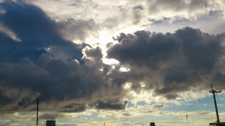 趣味はゲーム、PS4 Pro モンスターハンター：ワールド 29日目