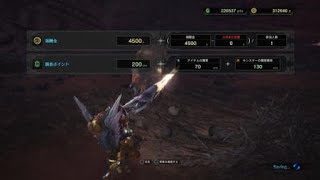 クルルヤック　ソロ　ガンランス　モンスターハンター：ワールド_20180325002025