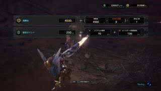 クルルヤック　ソロ　ガンランス　モンスターハンター：ワールド_20180325002025