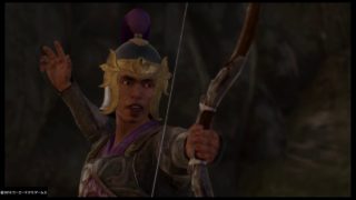 真・三國無双８　落鳳の凶