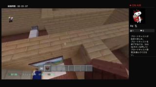 マインクラフト、タヌー建設のお仕事のようす