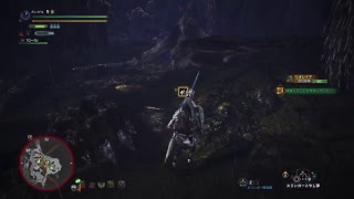 ［ソロ］ぼっちハンターの生態［モンスターハンターワールド］