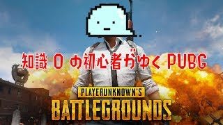 【LIVE】もう戦争なんてやめよう放送！深夜枠！#10【PUBG】
