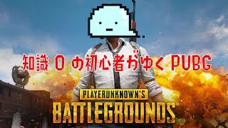 【LIVE】もう戦争なんてやめよう放送！深夜枠！#10【PUBG】