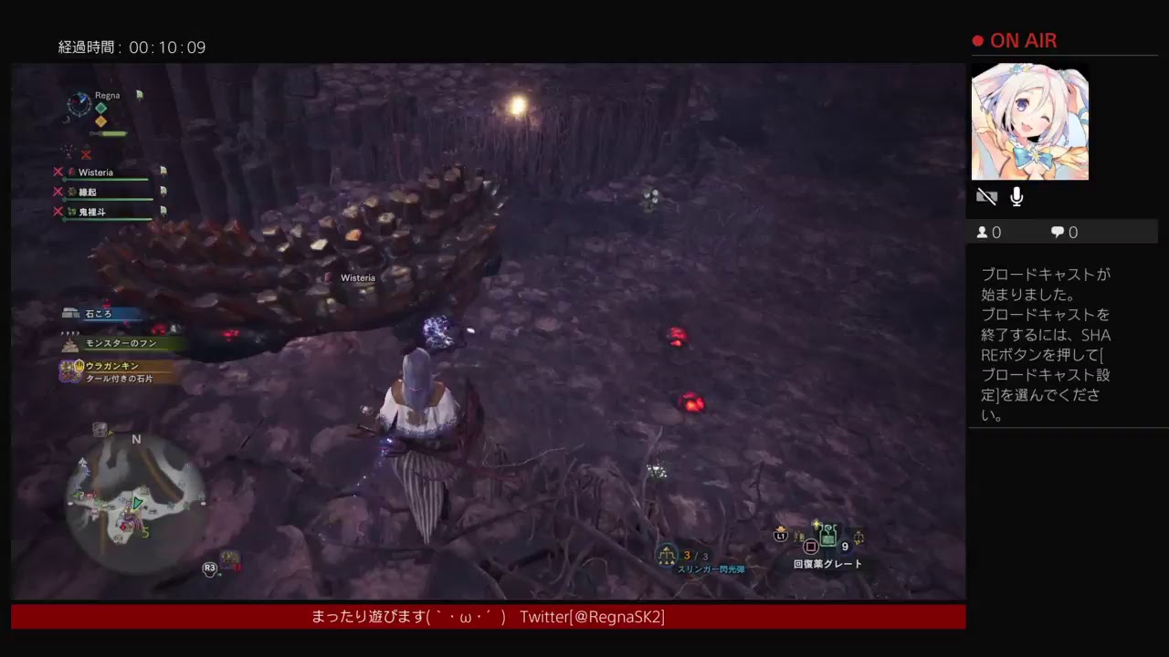 【MHW】(HR117)初心者の狩猟生活【モンスターハンターワールド】