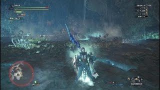 モンスターハンター：ワールド_壁すり抜けバグ