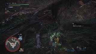 モンスターハンター：ワールド_20180323094913