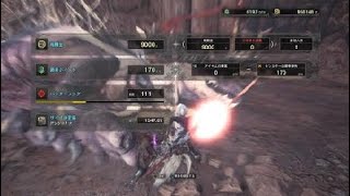 モンスターハンター：ワールド　特殊闘技　アンジャナフ