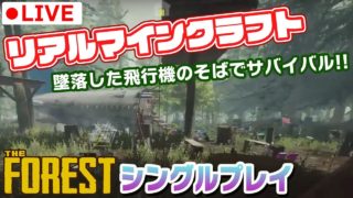 【リアルマインクラフト】【ホラー】【グロ注意】今日は1人で頑張ります～！#06【The Forest】
