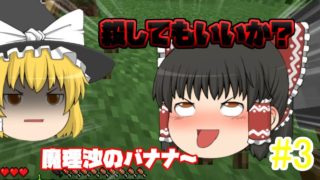 【マインクラフト】らにきのマインクラフト！！part3 魔理沙がガチギレ！？